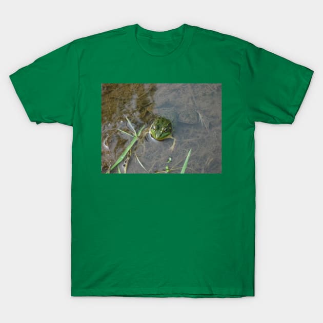 Froggy T-Shirt by HalfBlindCyclops